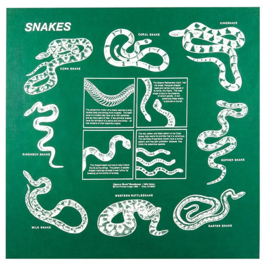 Snakes Bandana