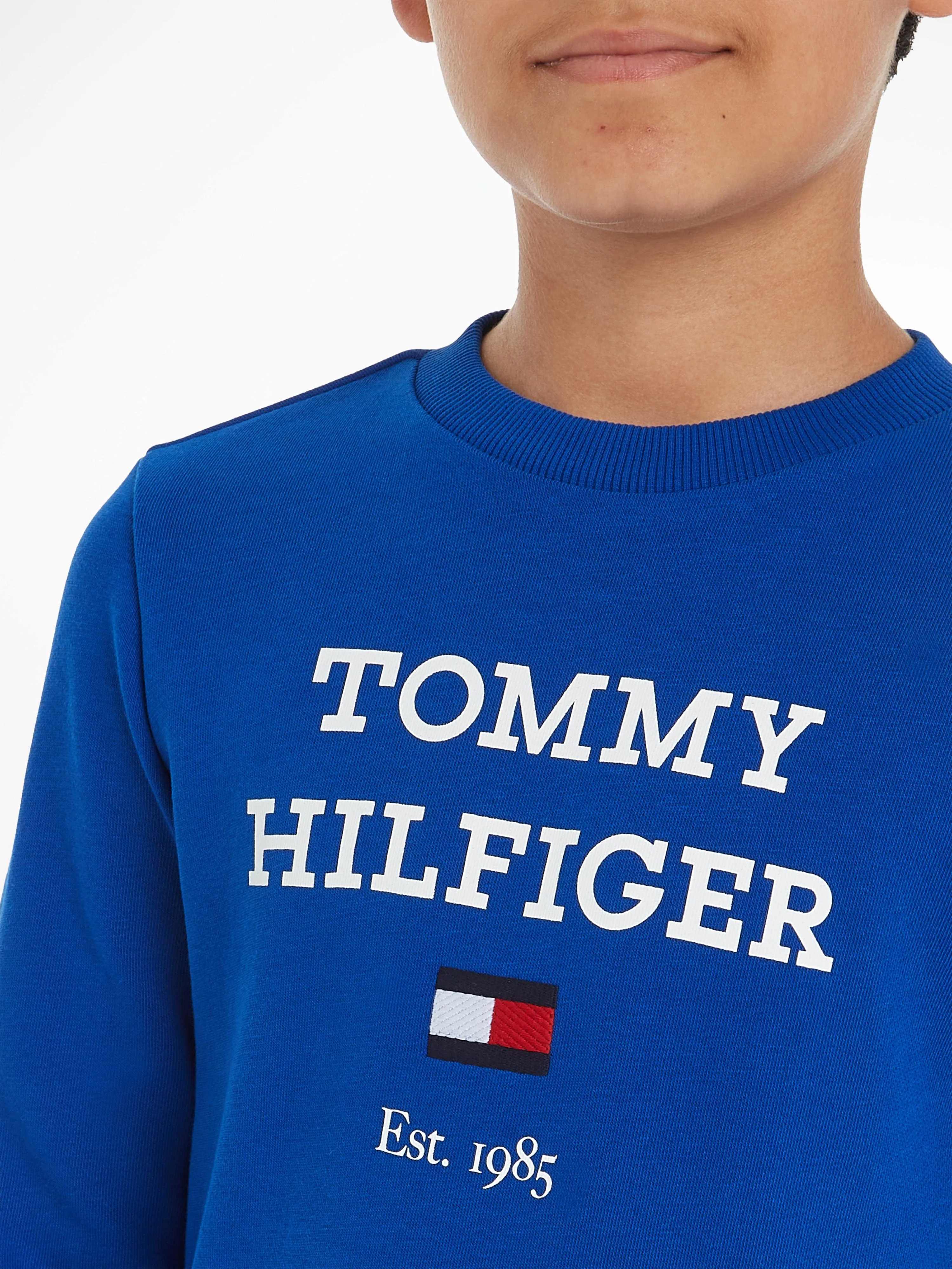 Tommy Hilfiger Boys Logo Sweatshirt in Blue